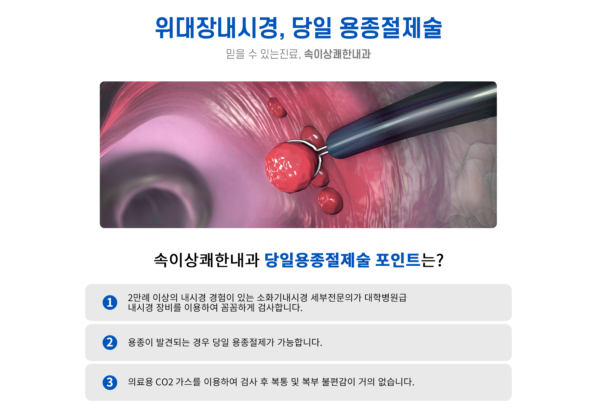 피로회복, 혈액순환, 미백, 면역강화, 숙취해소, 체지방분해, 항노하, 간해독, 영양공급