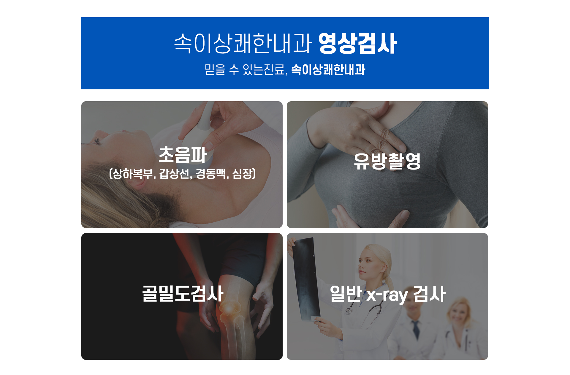 A형간염, B형간염, 대상포진, 폐렴, 파상풍, 백일해, 자궁경부암, 독감